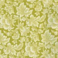 Jasmine - Light Floral On Olive